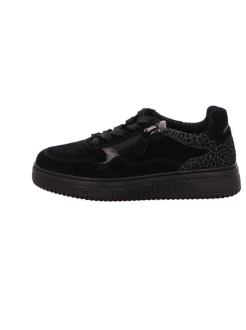 Gabor Sneaker Low in schwarz