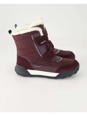 Geox Winterschuhe in Lila