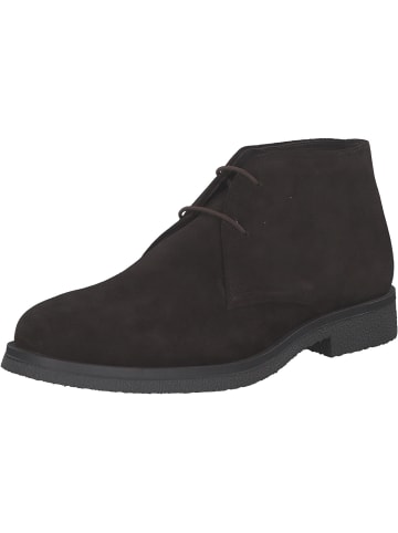 Geox Stiefel in dk. coffee