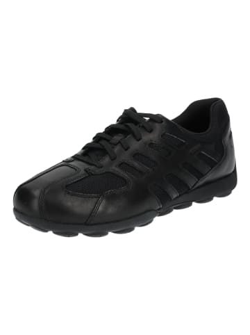 Geox Sneaker in Schwarz/Schwarz