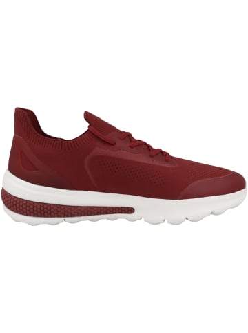 Geox Sneaker low U Spherica Actif A in rot