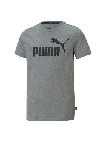 Puma T-Shirt in Grau