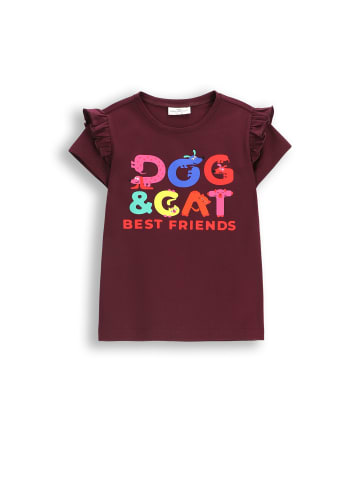 Coccodrillo T-Shirt mit kurzem Ärmel in braun