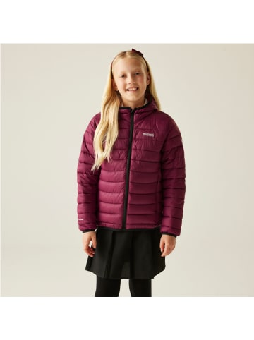 Regatta Marizion Baffle-Jacke / Steppjacke mit Kapuze in Dunkelrot