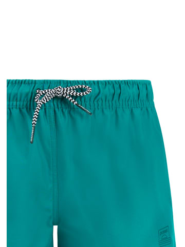 Protest " PRTEvi JR in Peacock Green