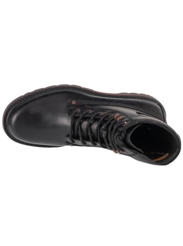 Caterpillar Caterpillar Colorado Grader WP in Schwarz