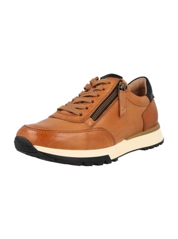 Paul Green Sportliche Schnürschuhe in Braun
