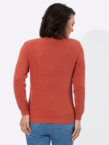 WITT WEIDEN V-Pullover in terra
