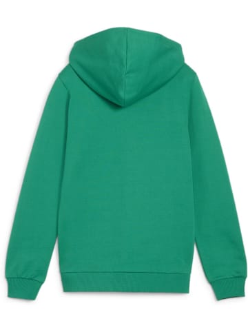 Puma Hoodie "TeamGoal CasuaLongsleeve Hooded Jacket Jr" in Grün