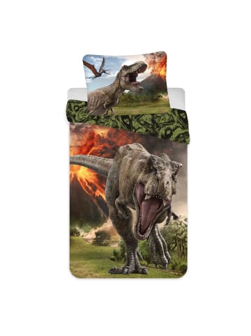 Jurassic World 2-tlg.Set: Bettwäsche Jurassic World - (L) 200 cm x (B) 140 cm in Grün