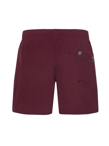 Protest " CULTURE JR in Dark Cherry