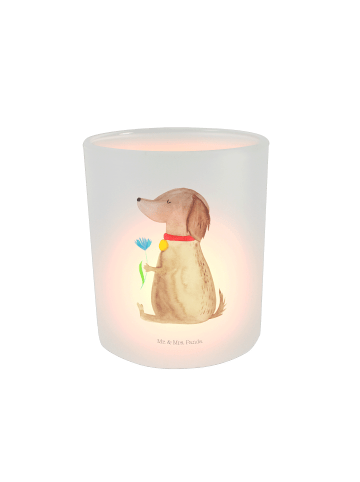 Mr. & Mrs. Panda Glas Kerzenhalter Hund Blume ohne Spruch in Transparent