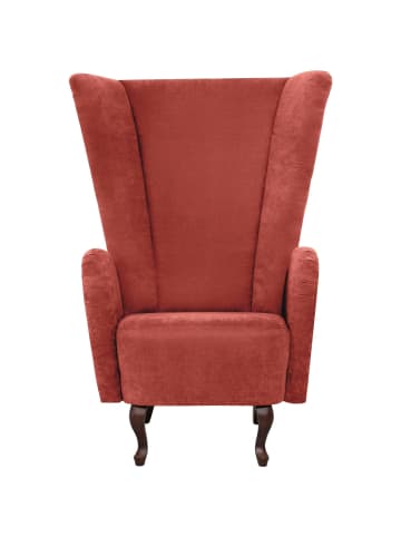 others HOCHLEHNSESSEL Kailey Bezug Velourstoff Buche nussbaum dunkel / terracotta