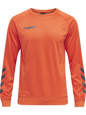 Hummel Pullover "Hmlpromo" in Orange