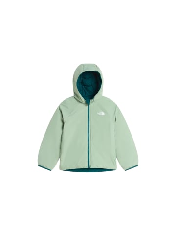 North Face Jacke NF0A88VJN4J1 Grün