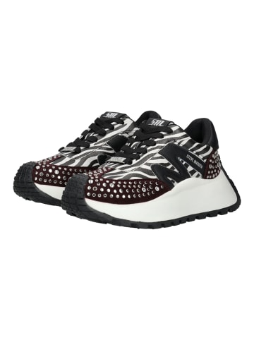 Steve Madden Sneaker Zebra