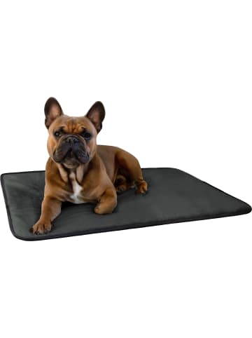 Aspero Hundedecke Lund in Anthrazit