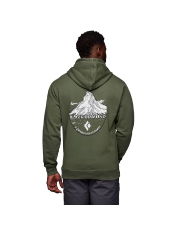 Black Diamond MMOUNTAIN BADGE HOODIE in Tannengrün
