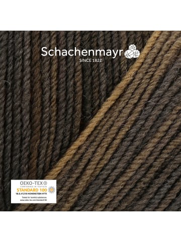 Schachenmayr since 1822 Handstrickgarne Merino Extrafine 285 Lace, 50g in Autumn