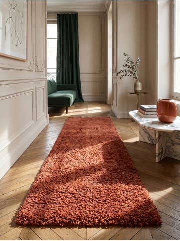 KADIMA DESIGN Teppich Hochflor Shaggy Waschbar Einfarbig RHEIN Strapazierfähig in Terrakotta