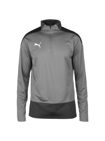 Puma Trainingspullover teamGOAL 23 in dunkelgrau / anthrazit