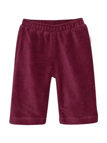 Noppies Hose Thayer in Baroque Rose