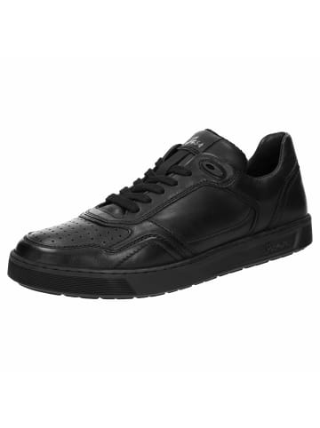 Sioux Sneaker für Herren in schwarz