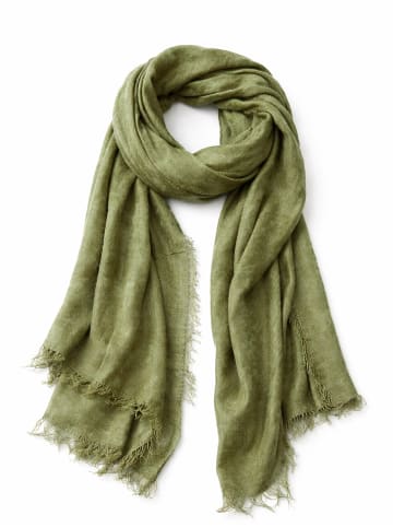 collezione alessandro Schal " Schmeichler " in khaki