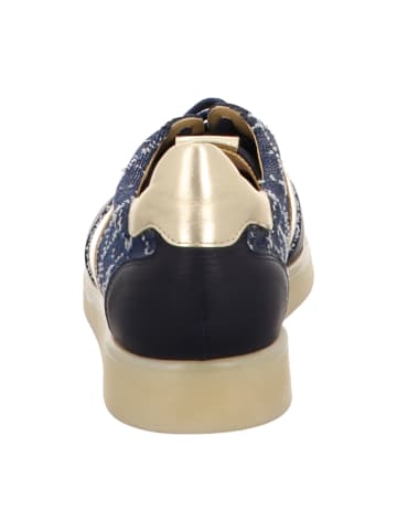 Brunate Sneaker Low in Blau