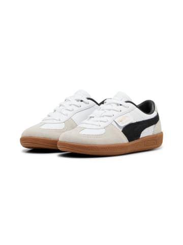 Puma Sneaker "Palermo Lth PS" in Weiß