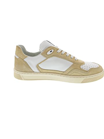 Sioux Tedroso 704 Sneaker low Beige
