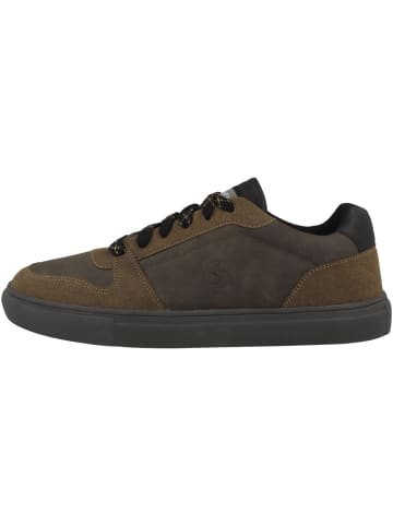 s.Oliver BLACK LABEL Sneaker low 5-13602-39 in braun