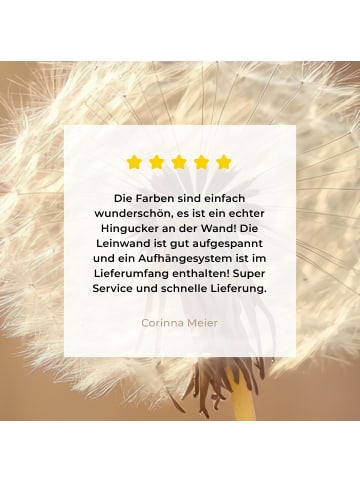 MuchoWow Leinwand bilder Nahaufnahme Flaum (BxH)