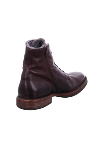 Moma Schnürschuh in braun