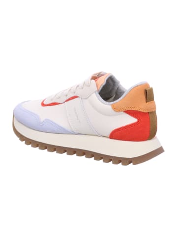 Gant Sneaker Low in beige