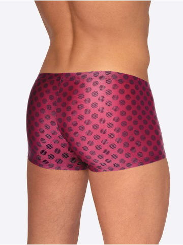 Olaf Benz Boxer RED2558 Minipants in berry/blue