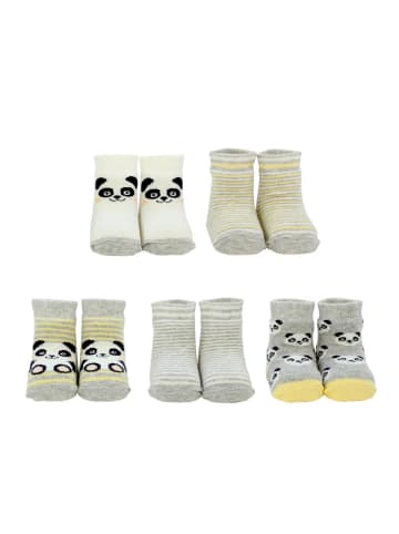 Cucamelon Socken 5er Pack in Panda