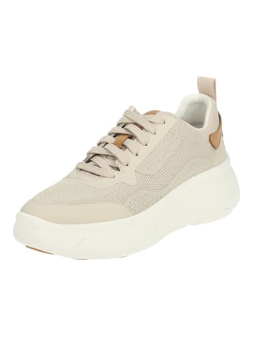 Geox Sneaker in Sand