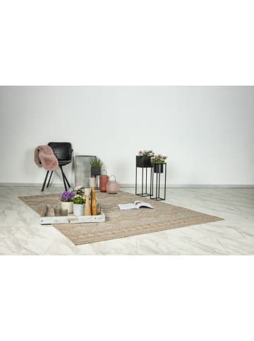 Teppich Boss Kurzflor Teppich Santino 225 Natur - Natur