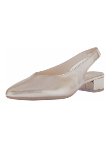 Gabor Pumps in Puder