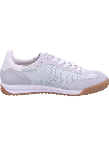 rieker Sneaker  in Grün