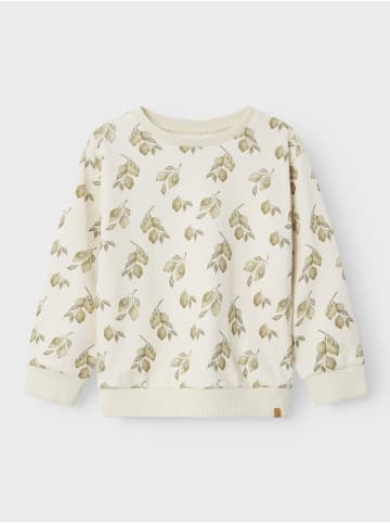 name it Sweatshirt in Turtledove