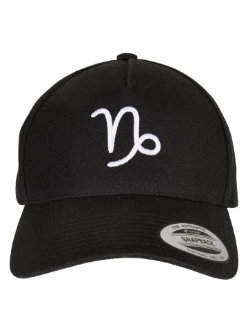 Mister Tee Mister Tee Snapback in capricorn