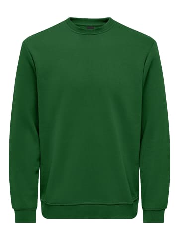 ONLY & SONS Sweatshirt in Formal Garden