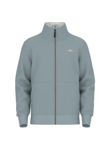 Tom Tailor Sweatjacke PRINTED STAND-UP in Grau