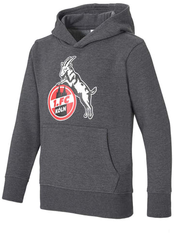 Fußballverein 1. FC Köln Kinder Sweatshirt "Hoodie Basic Anthrazit" in Grau