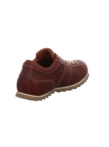 Snipe Schnürschuh in braun