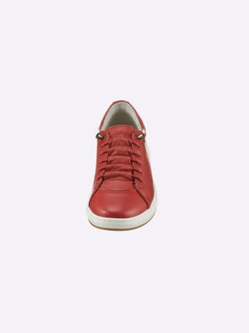 Andrea Conti Sneaker in rot
