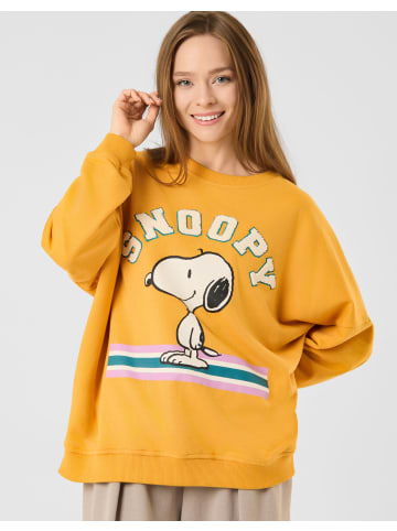 Codello Pullover in gelb