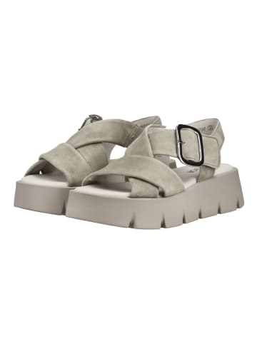 Gabor Sandalen in Grau